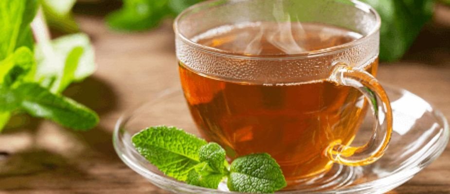 Como fazer chá de hortelã para dormir: Receita simples e benefícios para uma noite tranquila!